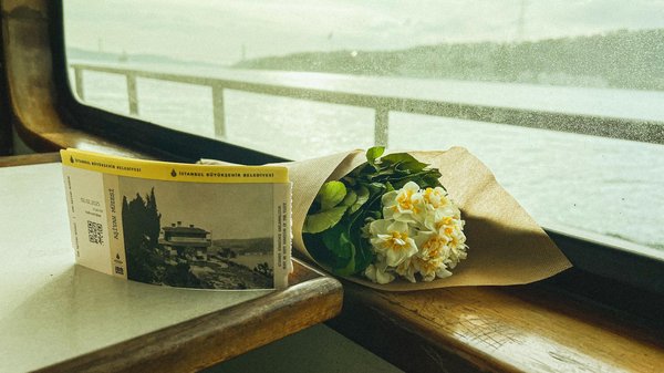 Top des croisières culturelles pour les passionnés d'histoire